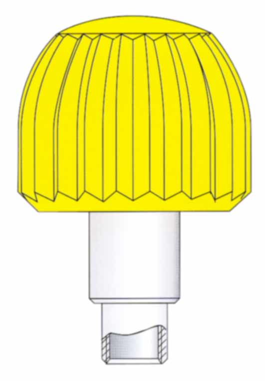 Corona a vite dorata con tubo e guarnizione