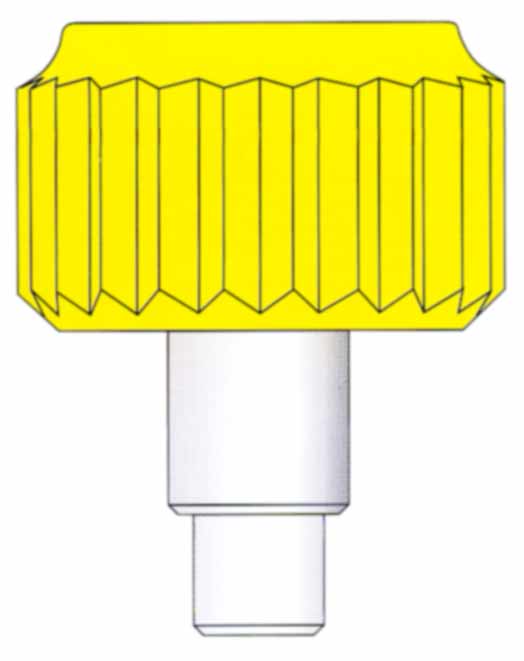 Corona a vite dorata con tubo e guarnizione