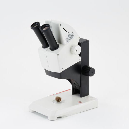Stereomicroscopio LEICA EZ4 W con oculari fissi 10X Stereomicroscopio LEICA EZ4 W con oculari fissi 10X