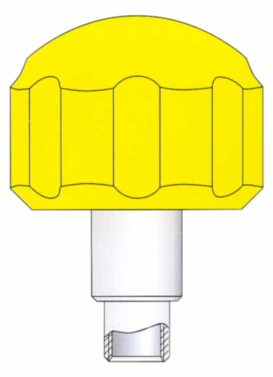 Corona a vite dorata con tubo e guarnizione