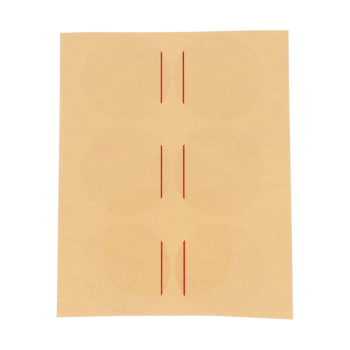 Pellicola protettiva per fondelli 24 mm