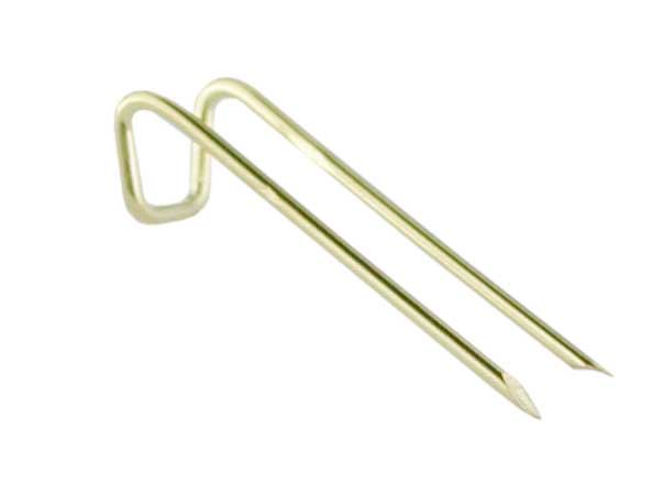 Forcelle da esposizione 19 mm dorate