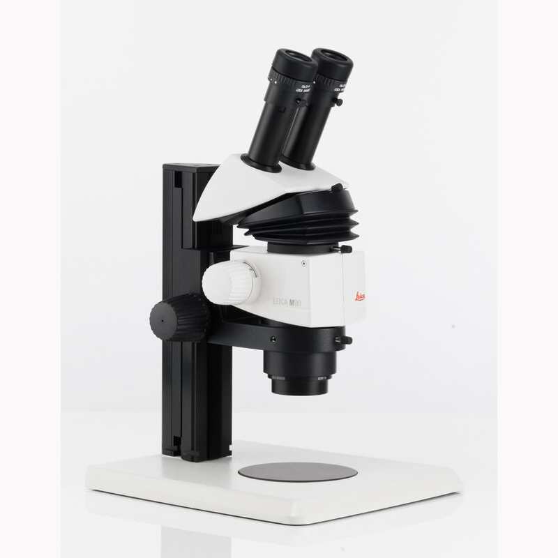 Stereomicroscopio LEICA M80 con luce LED3000 RL e base piccola a luce incidente Stereomicroscopio LEICA M80 con luce LED3000 RL e base piccola a luce incidente